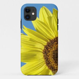 Fundas para teléfonos móviles de girasoles cubiert