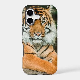 Fundas y cubiertas para teléfonos móviles de fútbo