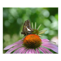 FUNDIENDO IMPRESIÓN FOTOGRÁFICA