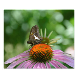 FUNDIENDO IMPRESIÓN FOTOGRÁFICA