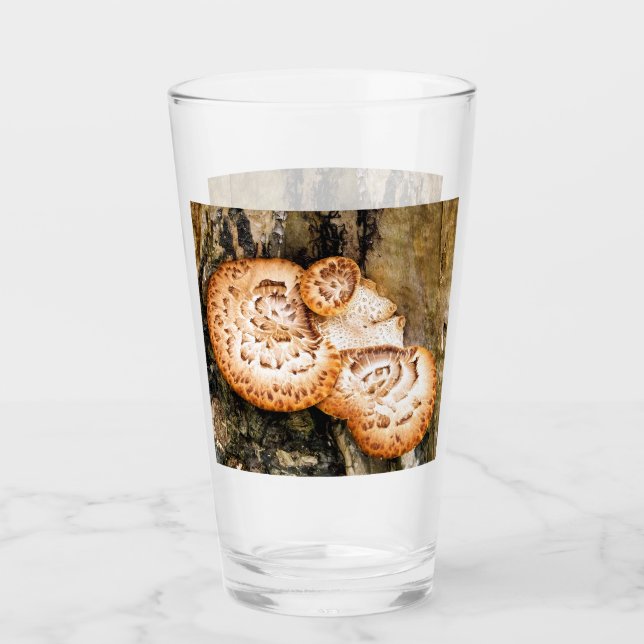 FUNGI (Anverso)