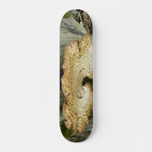 Fungus de estante de patineta en troncos de árbol