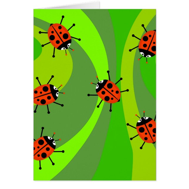 Funky Ladybugs (Frente)