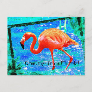 Funky rosa Florida flamingo postal
