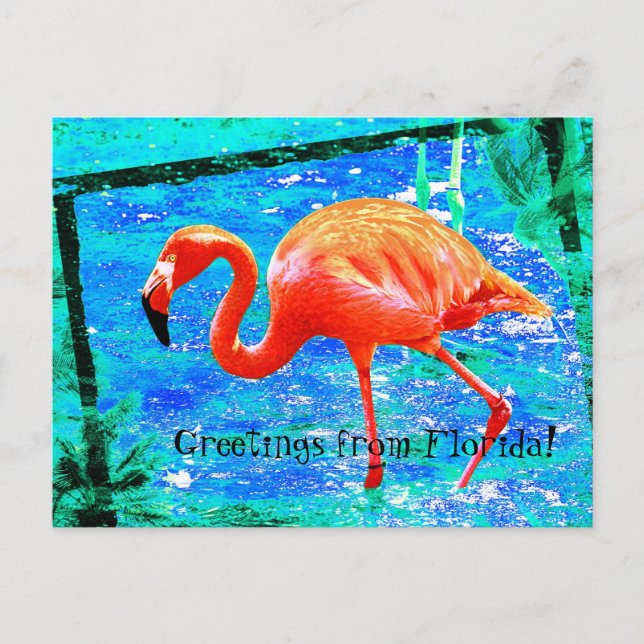 Funky rosa Florida flamingo postal (Anverso)