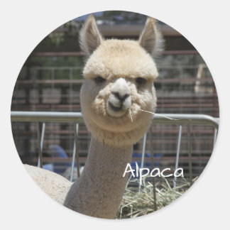 Funny Alpaca Pegatina