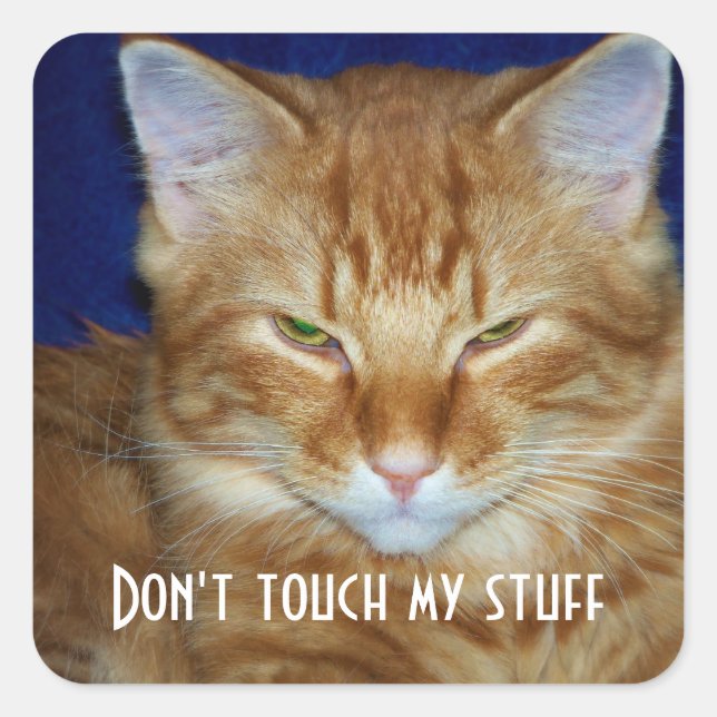 Funny Bad Mood Tabby Cat Pegatina (Anverso)