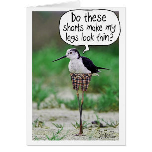 FUNNY BIRD SHORD Card o regalo