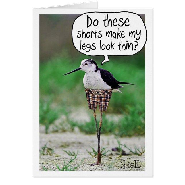 FUNNY BIRD SHORD Card o regalo (Frente)