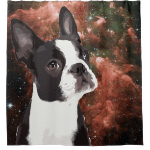 Funny Boston Terrier en la cortina de ducha espaci
