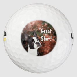 Funny Boston Terrier en la pelota de golf espacial