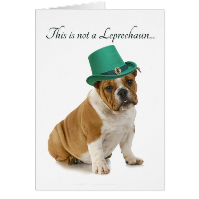 Funny Bulldog Leprechaun Card (Frente)