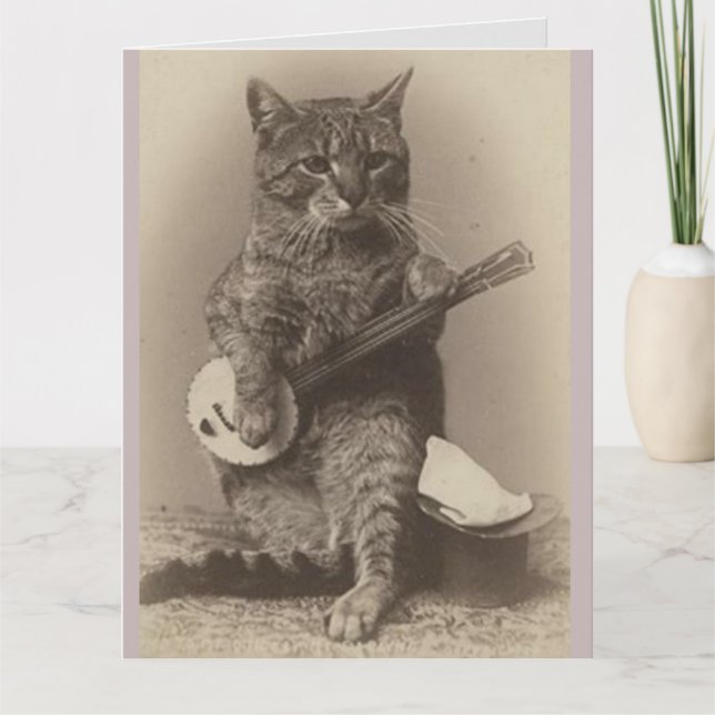 FUNNY CAT BANJO TARJETA DE CUMPLEAÑOS (Anverso)
