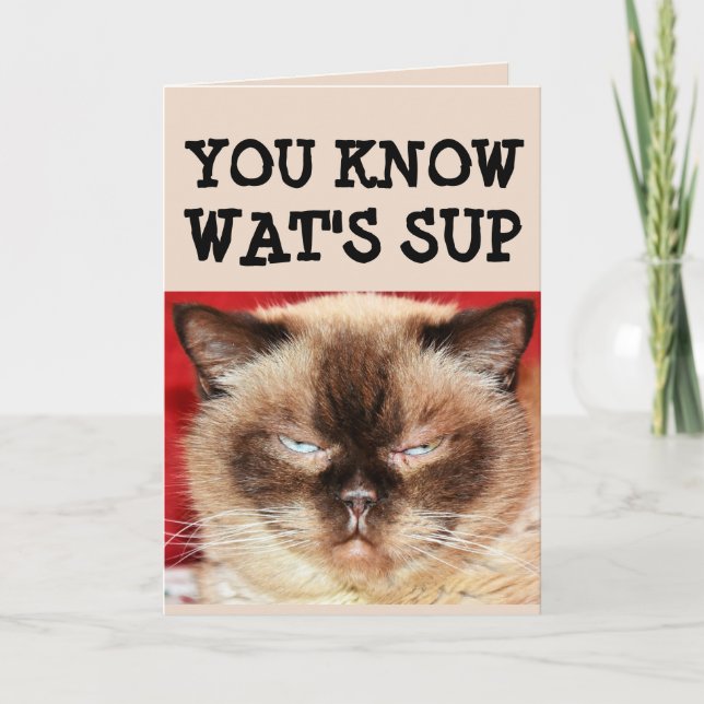 FUNNY CAT BIRTHDAY Tarjeta de felicitación (Anverso)
