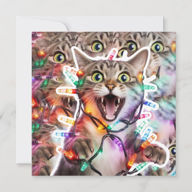 Funny Cat Navidades ilumina tarjeta de vacaciones (Anverso)