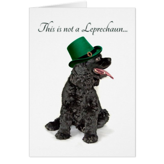 Funny Cocker Spaniel Leprechaun Card (Frente)