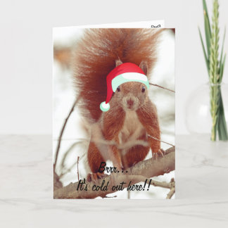 Funny Cute Squirrel Feliz Navidad