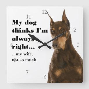Funny Doberman contra reloj de esposa