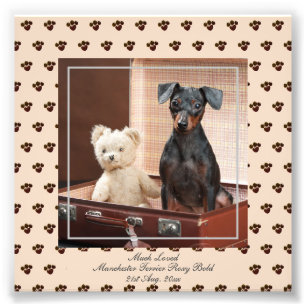 Funny FOTO del Manchester Terrier llamada Keepsake