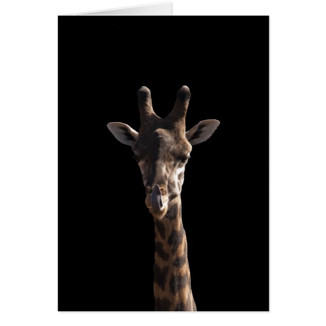 Funny Giraffe (Frente)