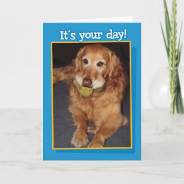 Funny Golden Retriever con tarjeta de cumpleaños B
