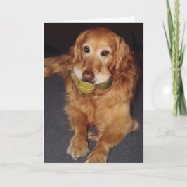 Funny Golden Retriever con tarjeta de cumpleaños B