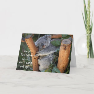 Funny Koala Bear, Tarjeta de cumpleaños retrasada