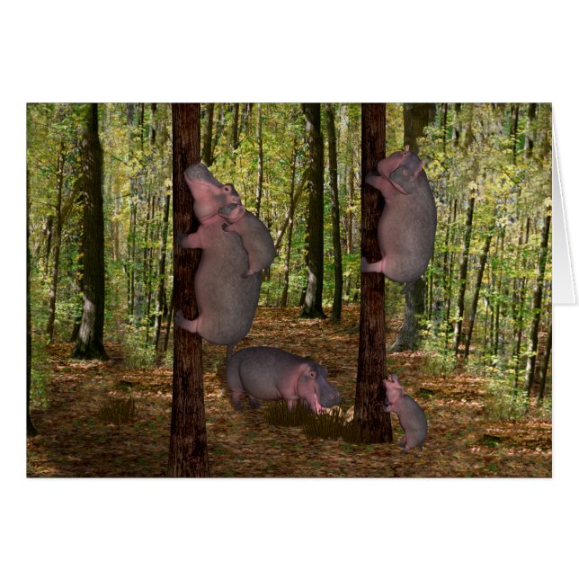 Funny Koala-Wannabe Hippos (Anverso (Horizontal))