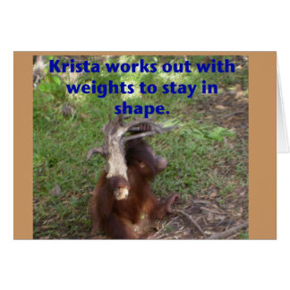 Funny Krista Orangutan