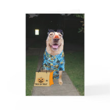 Funny Lab Vestido como Tarjeta de Halloween Humana