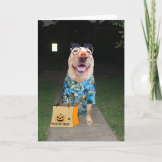 Funny Lab Vestido como Tarjeta de Halloween Humana