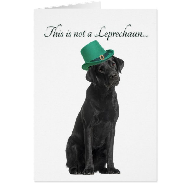 Funny Leprechaun Lab Card (Frente)