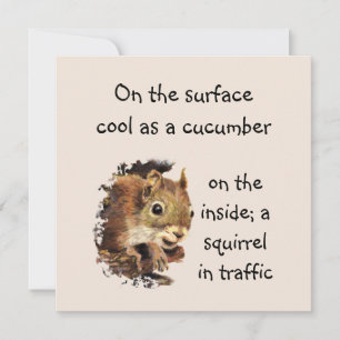 Funny Life Quote Surface Guay Inside Squirrel