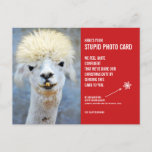 Funny Llama Navidades Estúpido tarjeta de foto pos<br><div class="desc">¡Envíen el regalo de la risa esta temporada navideña con estas graciosas postales de fotos de Navidades! Todos sabemos que "se supone" que debemos enviar tarjetas de fotos a la hora del Navidad - después de todo, es la práctica culturalmente aceptada. Bueno, estas tarjetas dicen, "Aquí está tu estúpida tarjeta...</div>