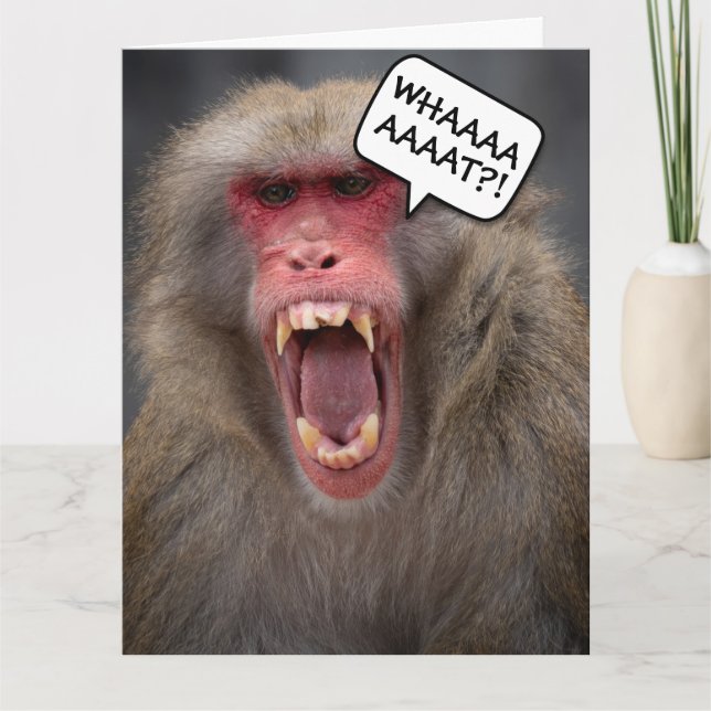 FUNNY MONKEY envejeciendo TARJETA DE RECIBIMIENTO  (Anverso)
