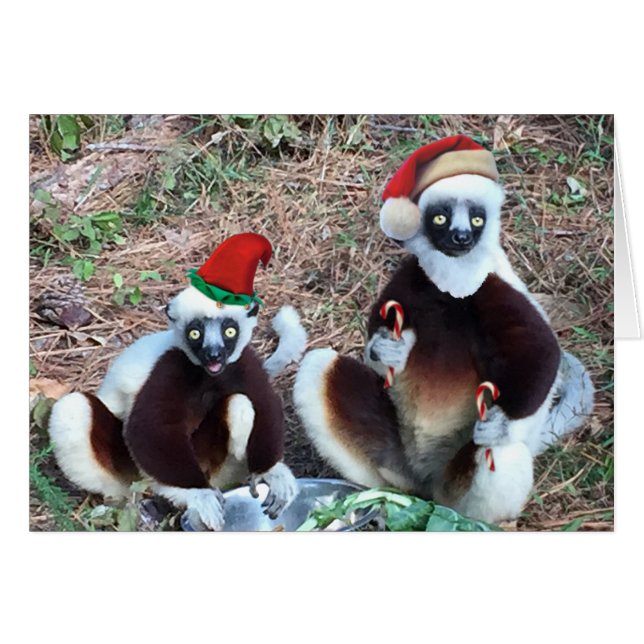 Funny Navidades Lemurs Tarjeta de Saludo (Anverso (Horizontal))