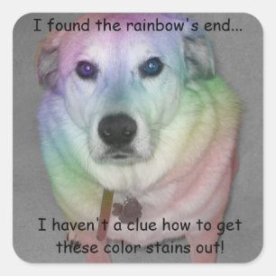Funny Pegatina Rainbow Pooch