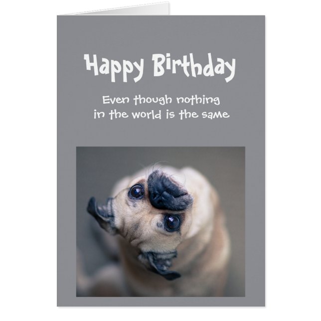 Funny Pug Dog Día de cumpleaños de distanciamiento (Frente)