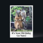 Funny Squirrel Go Nuts es tu tarjeta de cumpleaños<br><div class="desc">¡Es tu cumpleaños,  cállate! Una ardilla divertida juega con las palabras chiste sobre sus nueces. Tarjeta de cumpleaños de humor para adultos con una linda foto para animales. Imagen divertidísima y cita para un amigo en su día especial.</div>