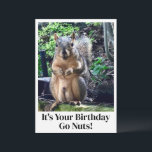 Funny Squirrel Go Nuts es tu tarjeta de cumpleaños<br><div class="desc">¡Es tu cumpleaños,  cállate! Una ardilla divertida juega con las palabras chiste sobre sus nueces. Tarjeta de cumpleaños de humor para adultos con una linda foto para animales. Imagen divertidísima y cita para un amigo en su día especial.</div>