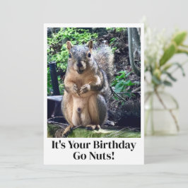 Funny Squirrel Go Nuts es tu tarjeta de cumpleaños