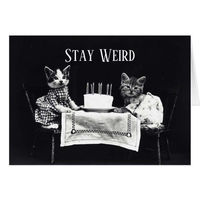 Funny stay weird vintage birthday kittens cat (Anverso (Horizontal))