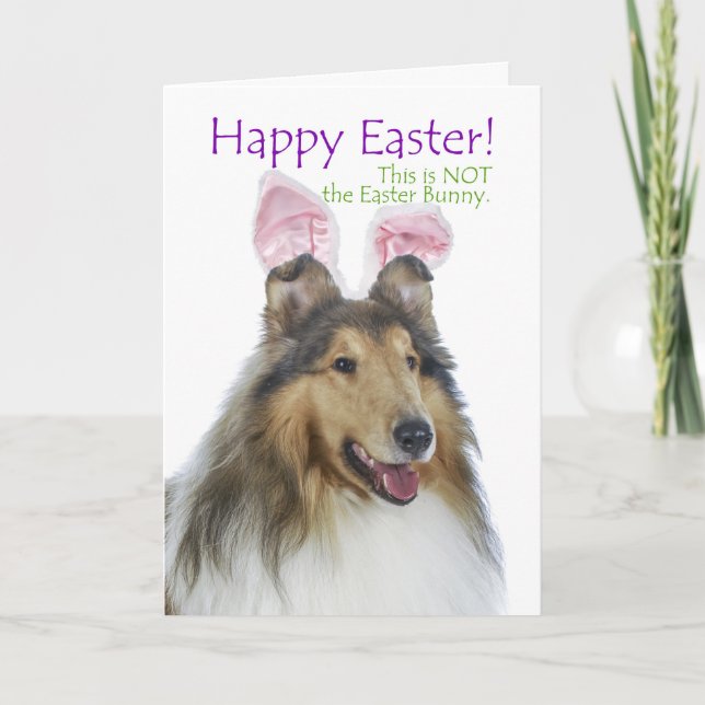 Funny tarjeta Collie Easter (Anverso)
