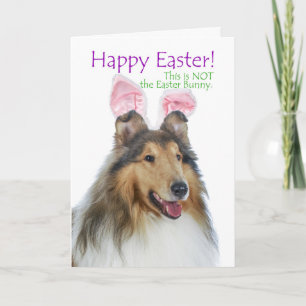 Funny tarjeta Collie Easter