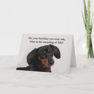 Funny tarjeta Dachshund