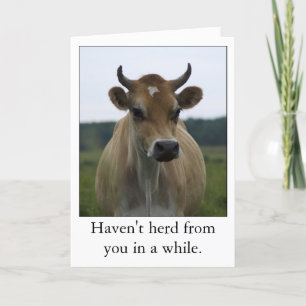 Funny tarjeta de bienvenida de Brown Cow