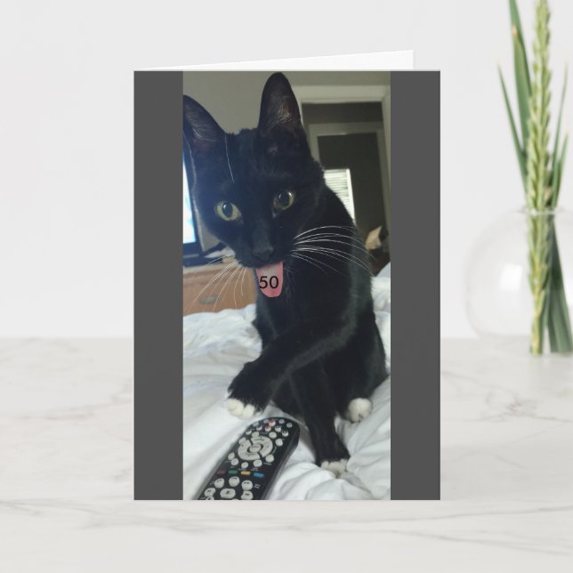 Funny tarjeta de cumpleaños 50 º gato (Anverso)