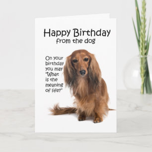 Funny tarjeta de cumpleaños Dachshund
