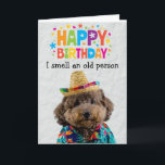 Funny tarjeta de cumpleaños de Poodle<br><div class="desc">Compra esto para ti mismo o como un gran regalo para tus amigos amantes del perro. Tu perro tiene su propio idioma único. Él puede expresar sus pensamientos y sentimientos acerca de cuánto te ama. ¿Estás listo para oír lo que está pensando tu perro? Así que sé creativo - la...</div>
