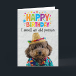 Funny tarjeta de cumpleaños de Poodle<br><div class="desc">Compra esto para ti mismo o como un gran regalo para tus amigos amantes del perro. Tu perro tiene su propio idioma único. Él puede expresar sus pensamientos y sentimientos acerca de cuánto te ama. ¿Estás listo para oír lo que está pensando tu perro? Así que sé creativo - la...</div>